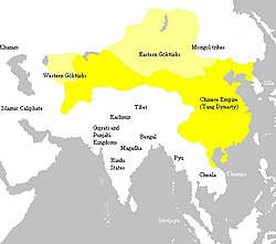 After the Tang defeated the Göktürks, they reopened the Silk Road to the west.