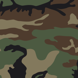 US Woodland camouflage pattern