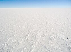 Global ice sheets might have delayed or prevented the establishment of multicellular life.
