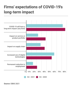 Expectations of the pandemic's long-term impact in EU firms.[392]