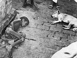 Child who starved to death during the Bengal famine of 1943