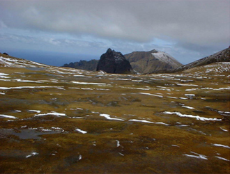 View of Gough Island