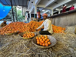 A worker sorts Mandarin oranges at the Auction Yard of Food Corporation of Bhutan Limited in Samdrup Jongkhar