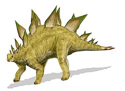 Stegosaurus