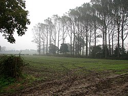 Drizzle in Norfolk, England.