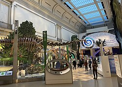 Deep Time exhibit, prominently featuring a Diplodocus skeleton