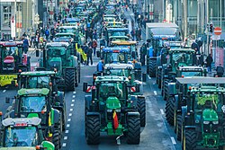 Farmers' protest in Brussels on 1 February 2024