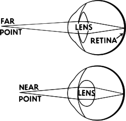 Minimum (top) and maximum accommodation (bottom)