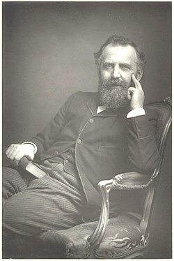 William Thomas Stead in 1881