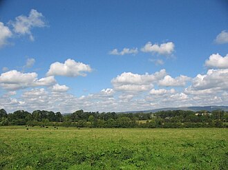 Typical east Limerick landscape, part of the Golden Vale