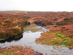 Upland bog in Wales, forming the official source of the River Severn. Healthy bogs sequester carbon, hold back water thereby reducing flood risk, and supply cleaned water better than degraded habitats do.