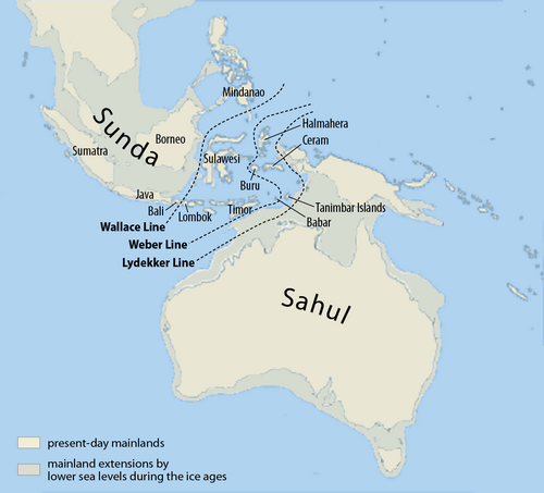 The Sahul Shelf of the continent