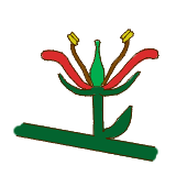 Pedicellate attachment