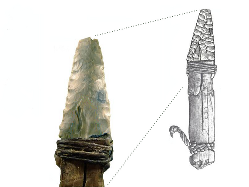 Stone dagger of Ötzi the Iceman who lived during the Copper Age. The blade is made of chert containing radiolarians, calcispheres, calpionellids and a few sponge spicules. The presence of calpionellids, which are extinct, was used to date this dagger.[12]
