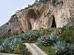 The Balzi Rossi caves, located on a cliff about 100 meters high, show traces of human occupation from the Middle Palaeolithic (300,000 years) to the foundation of the ancient city of Ventimiglia in Liguria. This constitutes the longest human occupation in the world of a geographical site.[11]