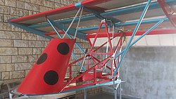 Smallest glider in the world – BrO-18 "Boružė" (Ladybird), constructed in Lithuania in 1975