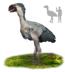 A big bird with blue-gray feathers, a white underbelly, and a large, parrot-like, red beak