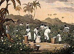 Enslaved Africans picking cotton in the United States, 1840