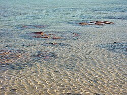 Shallow water
