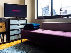 Netflix loaded on a TV in a Manhattan apartment