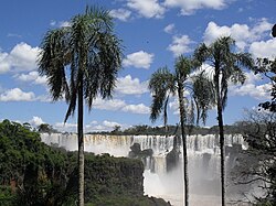 View of the Iguazú falls from the viewpoint that is in the lower circuit.