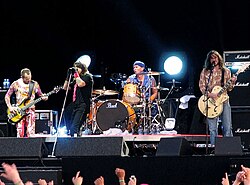 Red Hot Chili Peppers performing at the Pinkpop Festival in Landgraaf, The Netherlands, June 2006