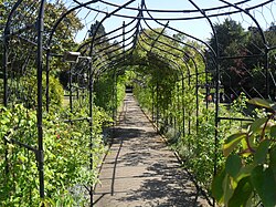 Flower Garden