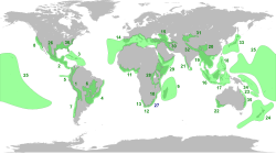 Biodiversity hotspots across the world