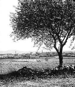 Skyline of Quneitra, 1929