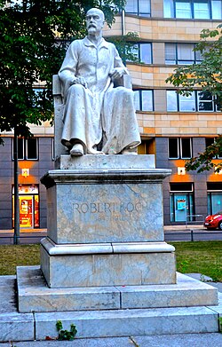 Statue of Robert Koch, one of the founders of microbiology,[13] in Berlin