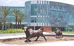 University of South Florida in Tampa