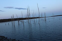 Manasquan Reservoir in early spring