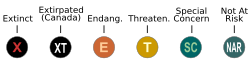 All categories