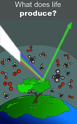 Lifeforms produce a variety of biosignatures that may be detectable by telescopes.[78][79]