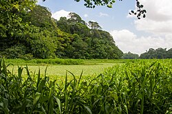 Utinga State Park.