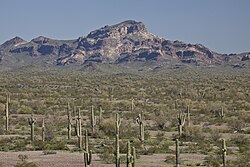 The Sonoran Desert surrounding Phoenix