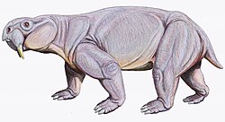 Life restoration of Dinodontosaurus , a large Triassic dicynodont