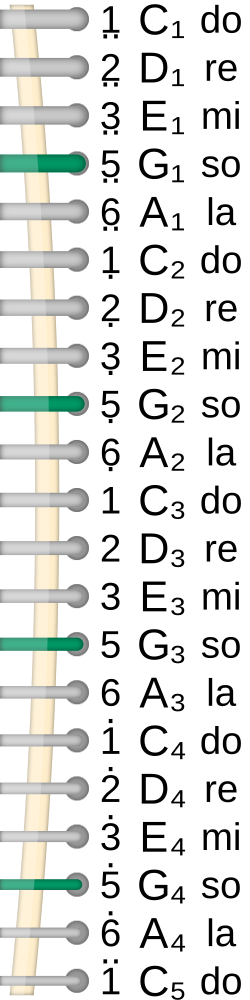 Strings of a typical guzheng tuned to C major
