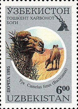 Wild Bactrian camel on an Uzbek stamp