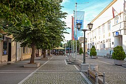 Pedestrian zone
