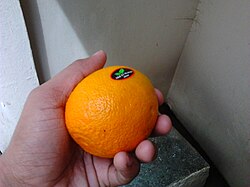 A rangpur