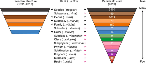 Comparison 1991 and 2018b virus taxonomy by ICTV