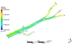 Simulation of blood flow in a human aorta