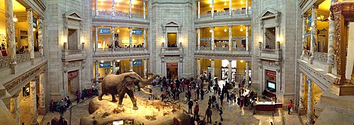 Inside the rotunda