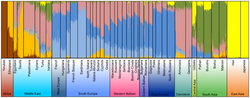 Admixture analysis of autosomal SNPs of the Balkan region in a global context on the resolution level of 7 assumed ancestral populations: African (brown), South/West European (light blue), Asian (yellow), Middle Eastern (orange), South Asian (green), North/East European (dark blue) and Caucasian/Anatolian component (beige).