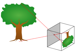 The basic way camera obscura works