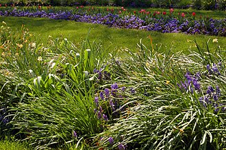 Flower gardens combine plants of different heights, colors, textures, and fragrances to create interest and delight the senses.