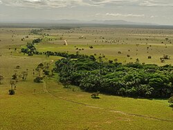 Los Llanos, Apure state