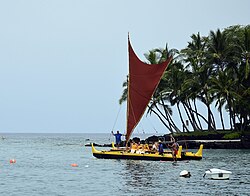 Catamarans allowed Austronesians to colonize the islands of the Indo-Pacific and introduce coconuts as they migrated.[42][43][44]