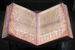 The Gothic Codex Argenteus, preserving part of the Gothic Bible translation.